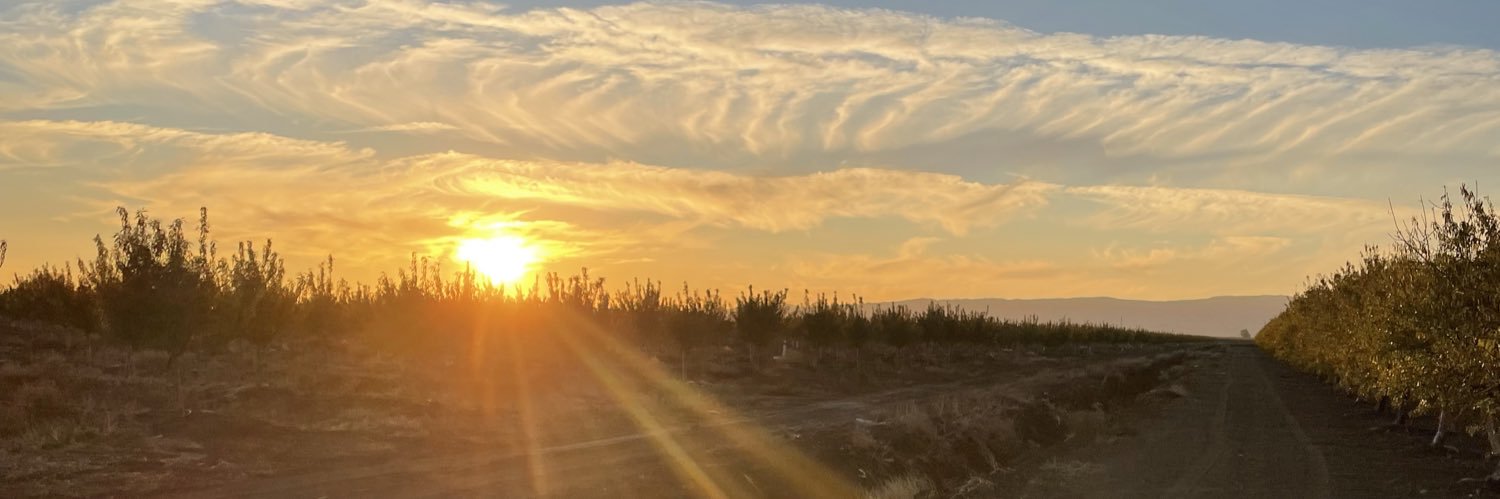 perlsss07's profile banner image
