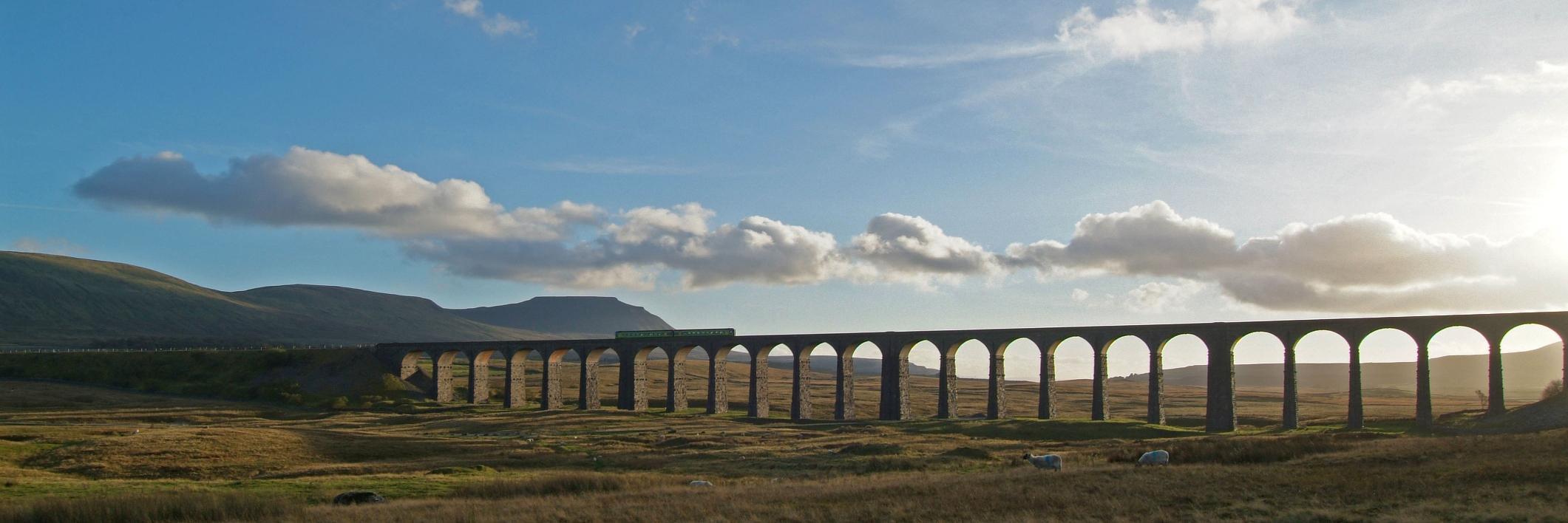 Art Form Framing banner