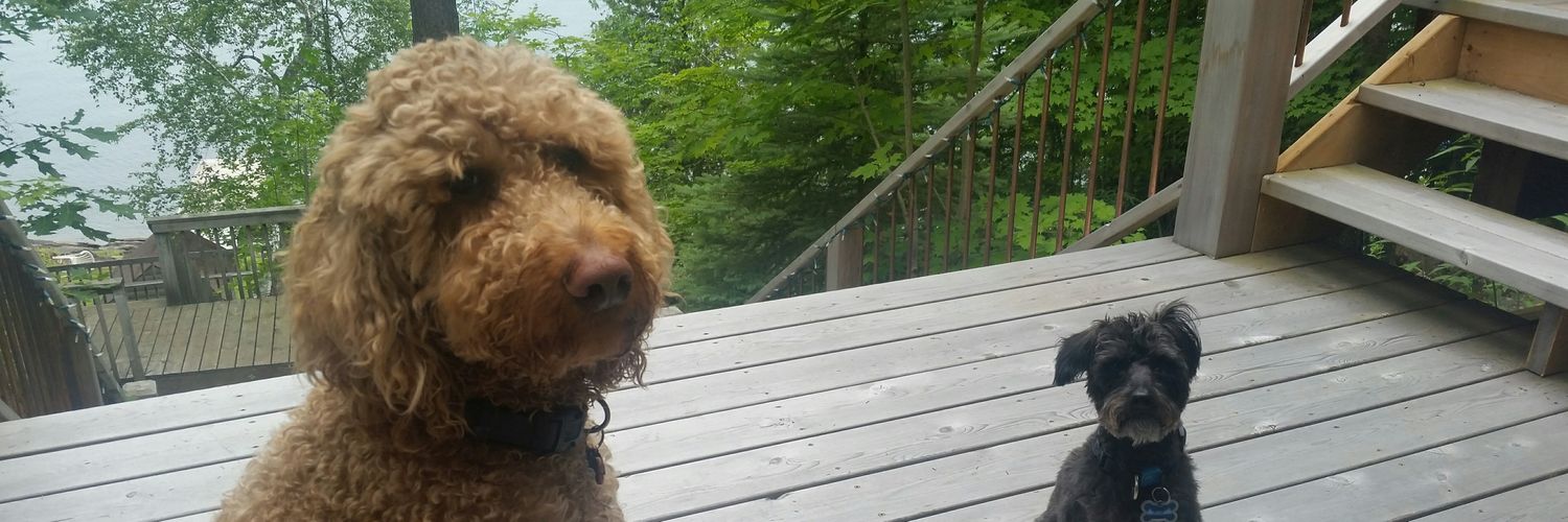 davejwiley's profile banner image