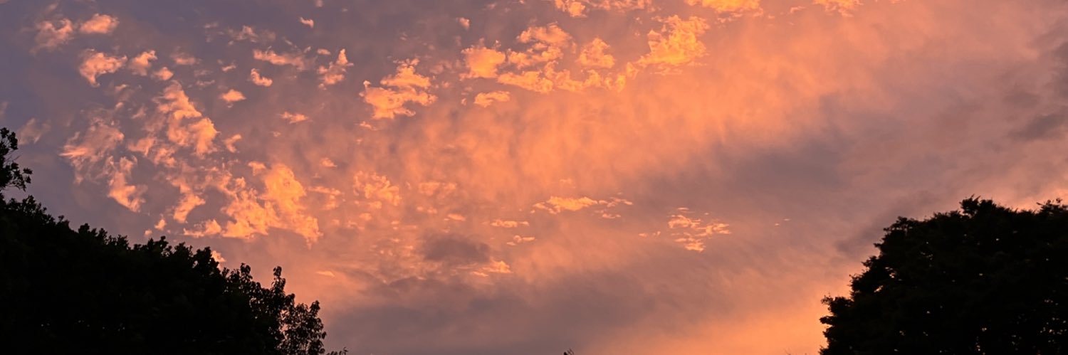 トロ banner