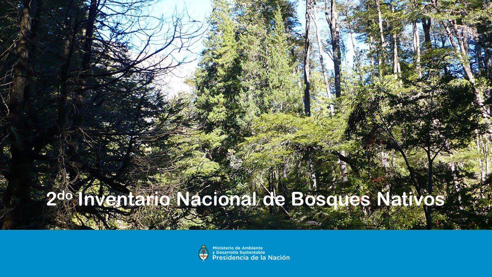 Hernan Colomb banner