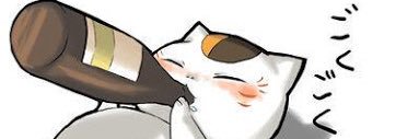blackcat8383's profile banner image