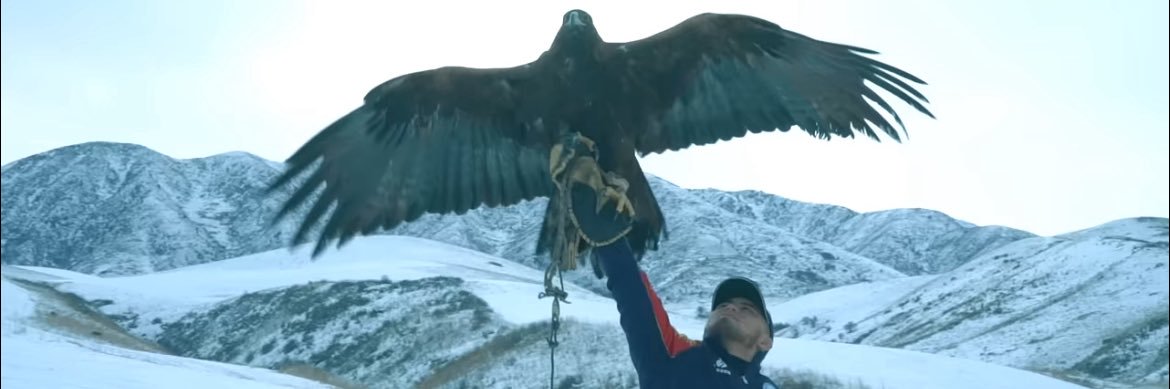 dog_eagle1's profile banner image