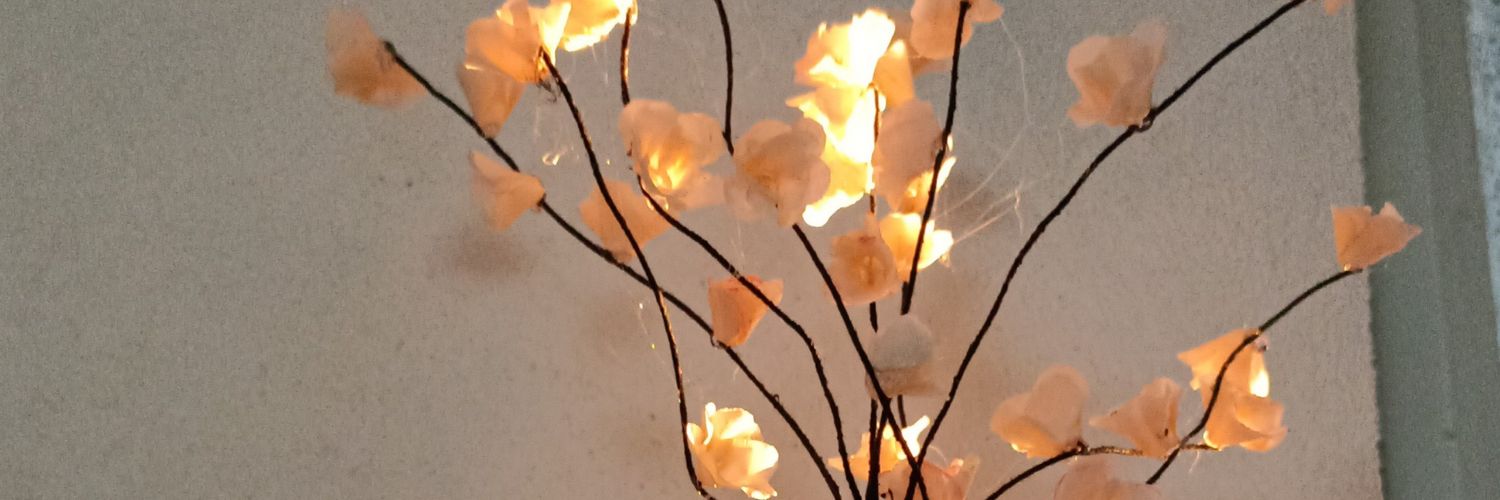 anyluluz1475's profile banner image