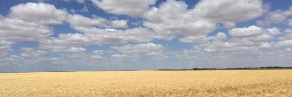 FarmOreInt Profile Banner