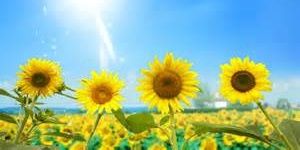 BestAmazingPic's profile banner image