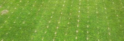 Dryject Ontario banner
