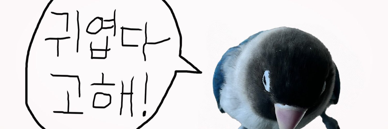 sodatheparrot's profile banner image