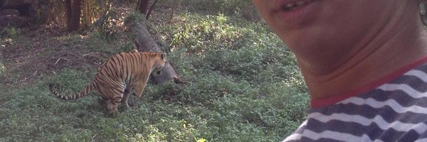 DipeshPaleja Profile Banner