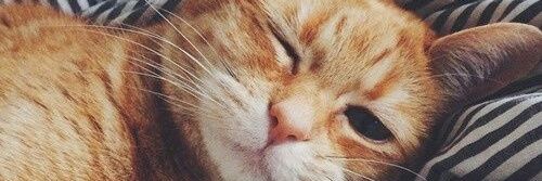 aijaaaaaaa's profile banner image