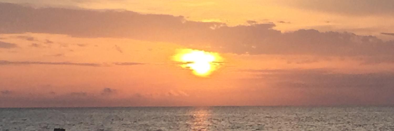 werka_art's profile banner image