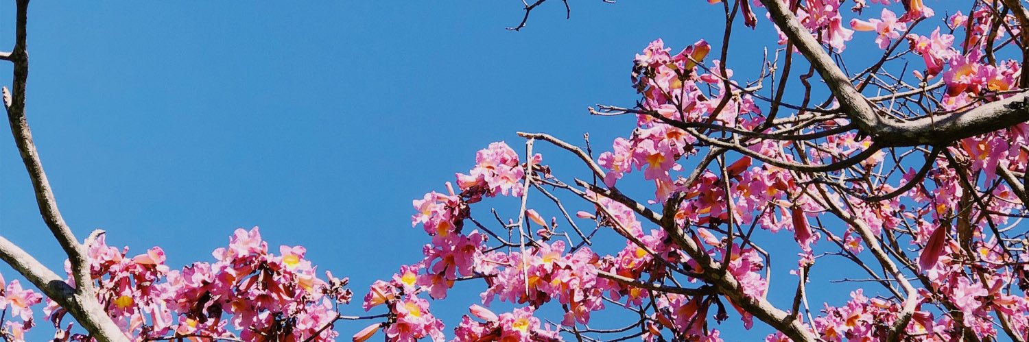 JessicaRiga's profile banner image