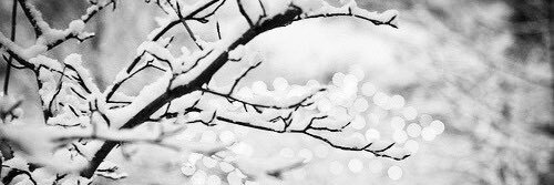 Kelly_SmLS's profile banner image