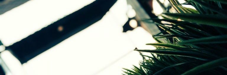 hellow_kevin's profile banner image