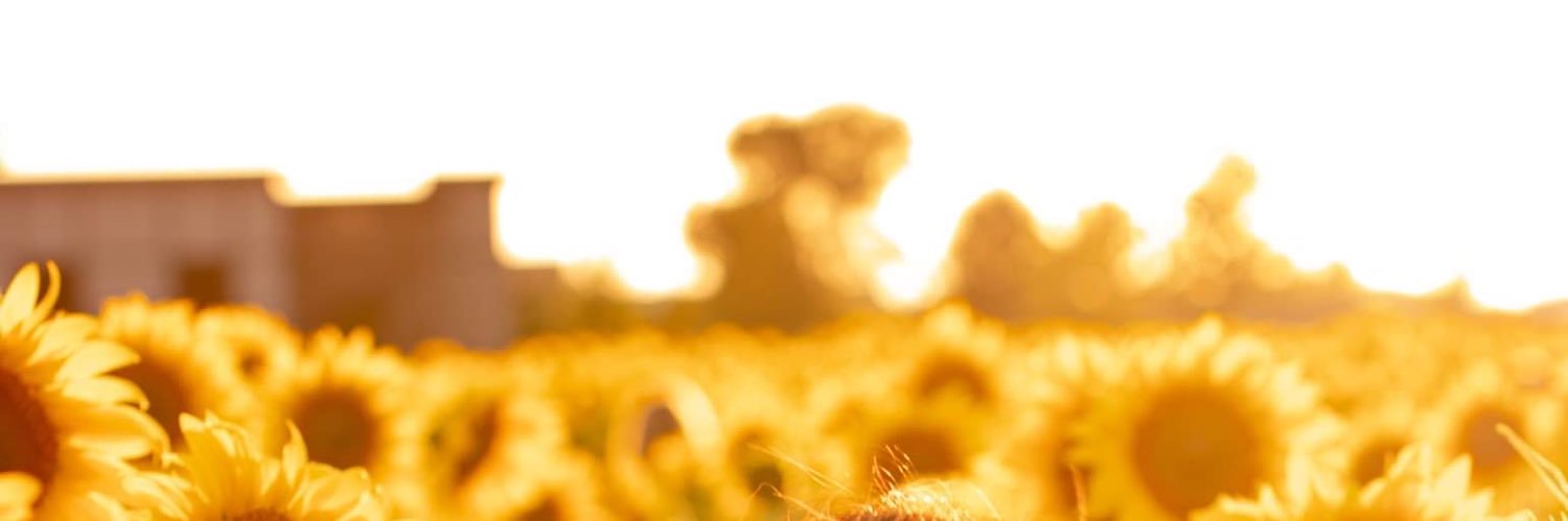 FelizeCristine's profile banner image