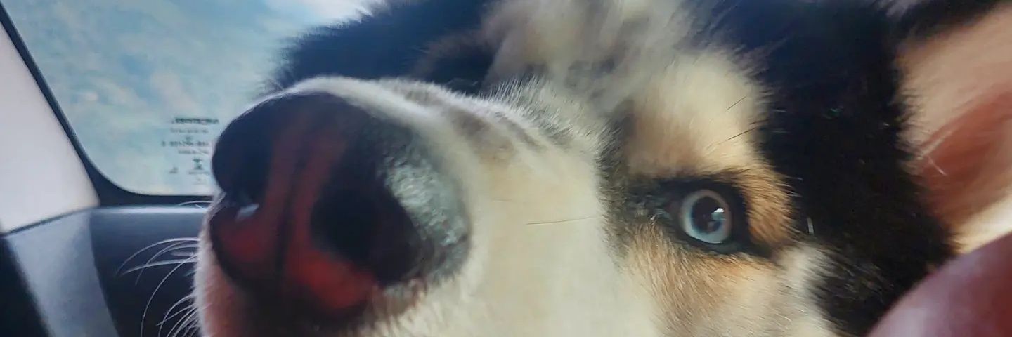 _ilyem8's profile banner image