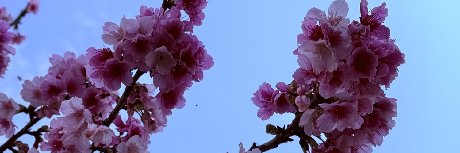 Yunly_moon's profile banner image