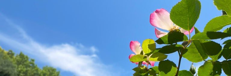 詩村あかね banner