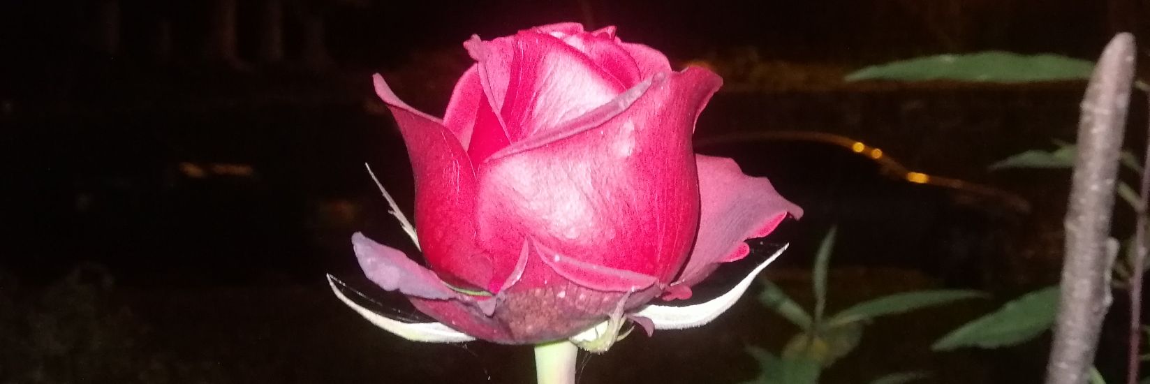 cemil_temiz's profile banner image