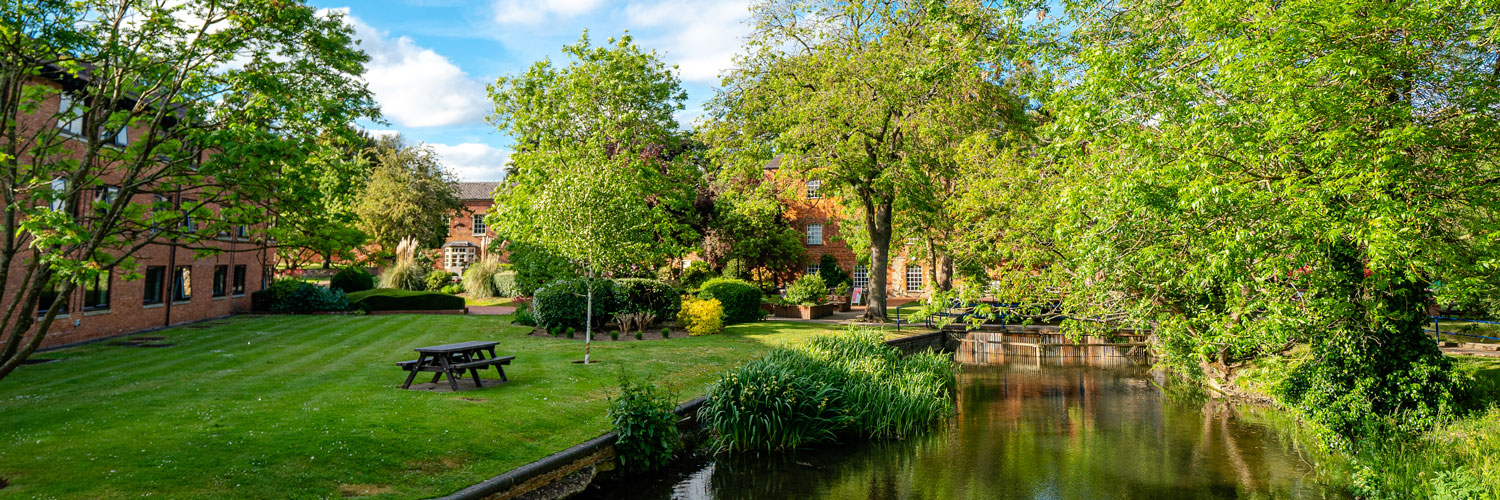 The University of Buckingham School of Psychology banner