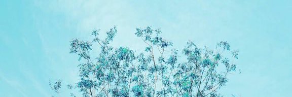 brofnies's profile banner image