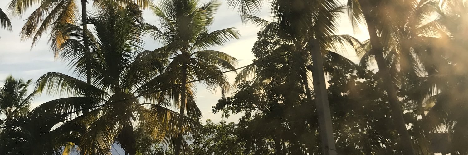 Lounadux's profile banner image