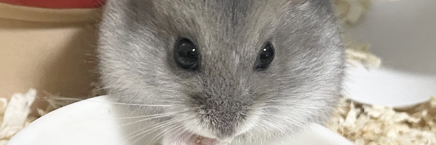 so_ot_e's profile banner image