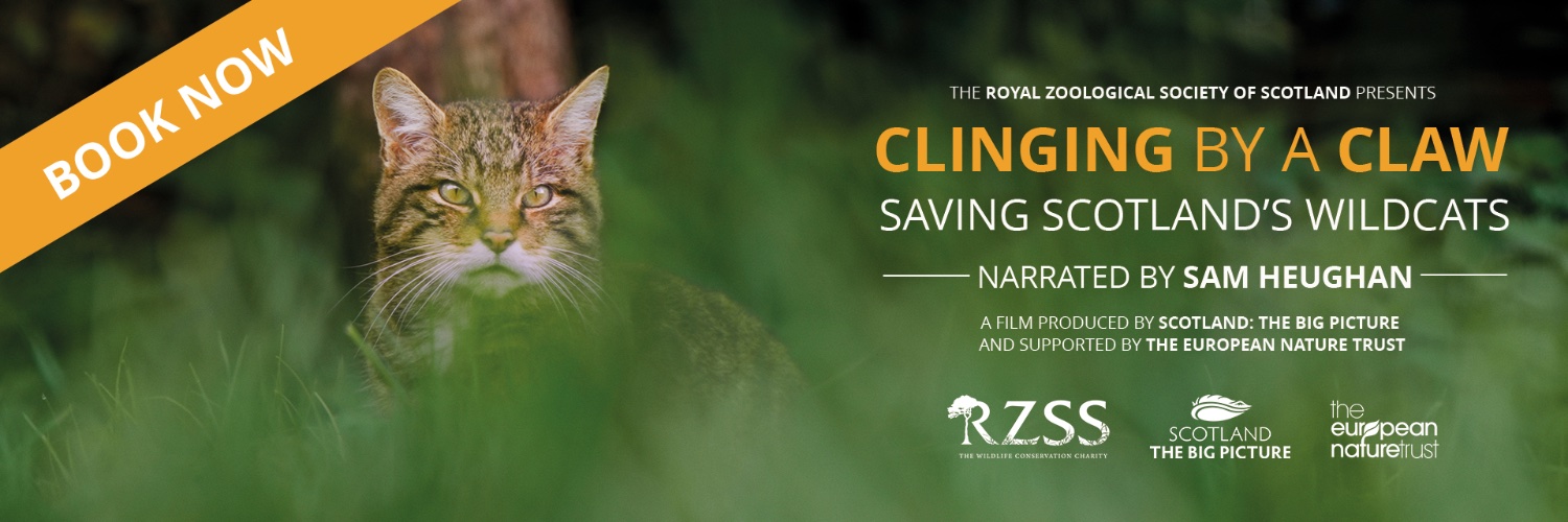 Saving Wildcats (#SWAforLIFE)'s banner