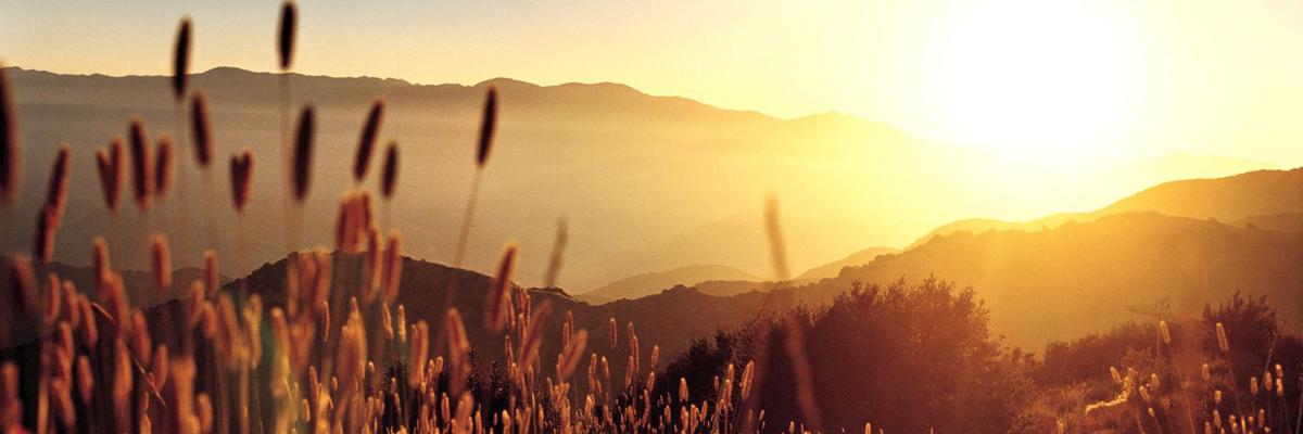 Malinsken's profile banner image