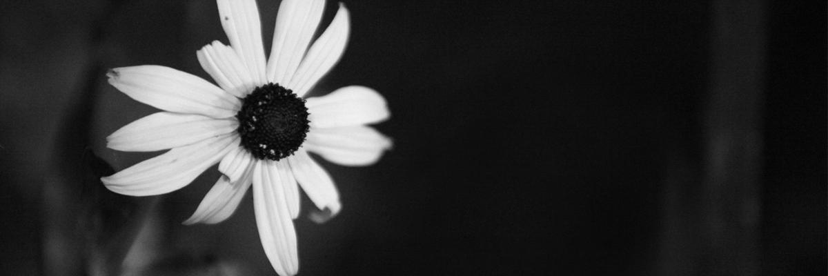 ArfDiren's profile banner image