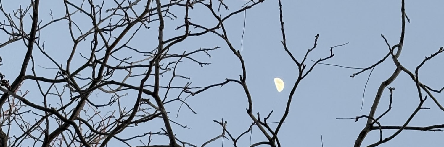 taylorihateme's profile banner image