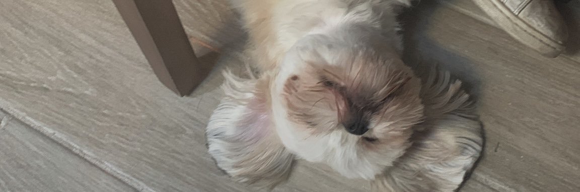 BabeMarcelaa's profile banner image