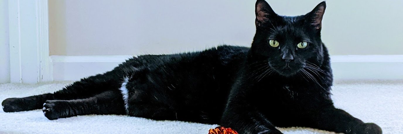 nullproj3ct's profile banner image