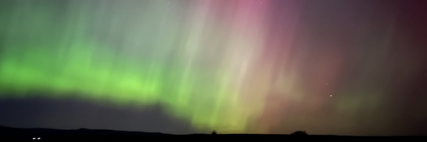 happy feet 💓🍄 banner