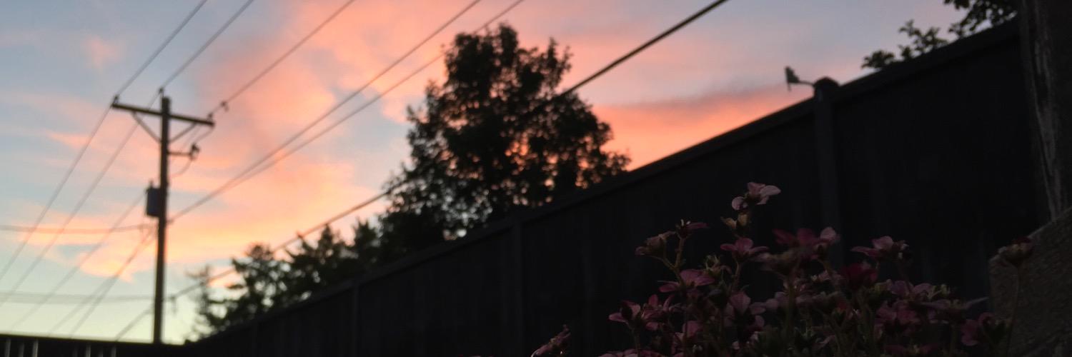 macdaddymads's profile banner image