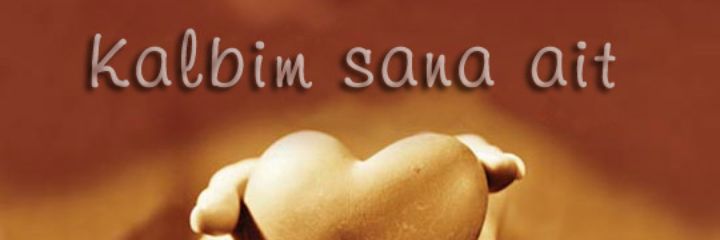 SERCAN2339's profile banner image