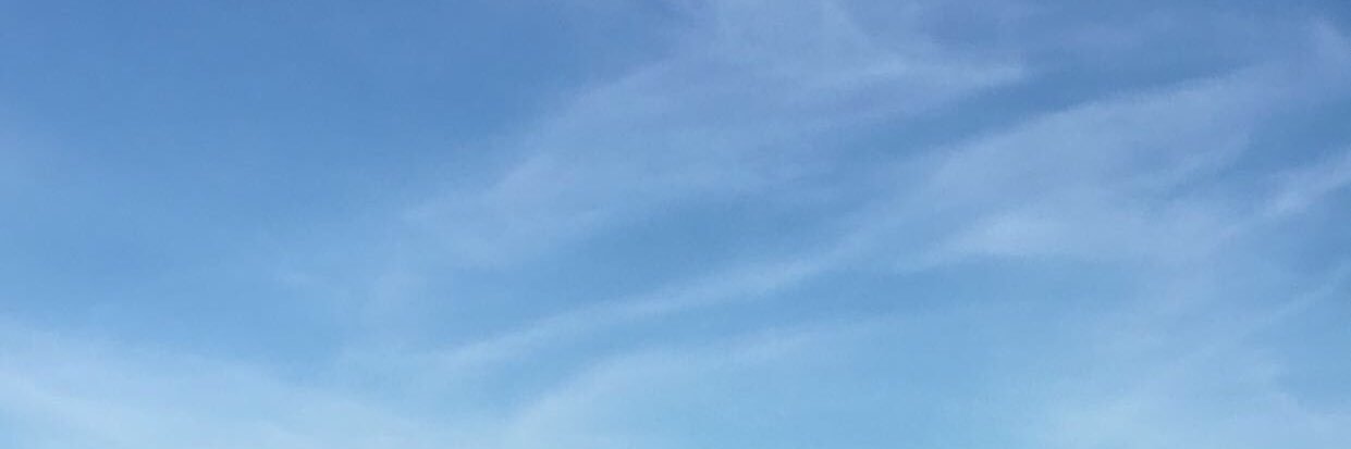 xo_2020x's profile banner image