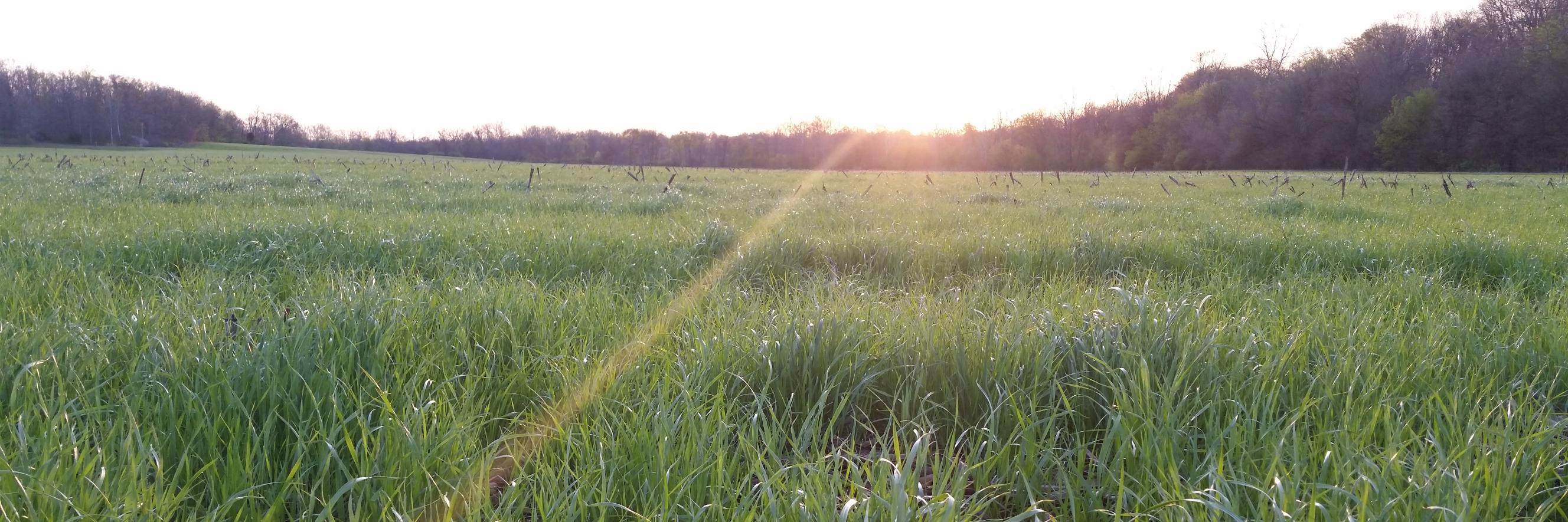 healthysoilguy's profile banner image