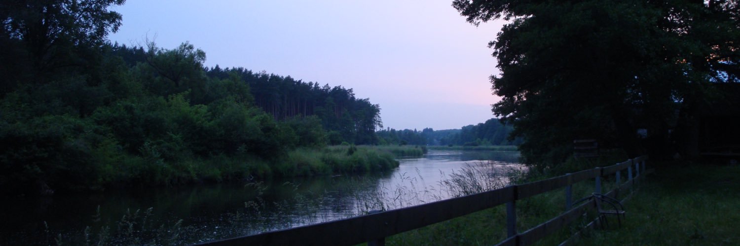 graceevans02's profile banner image