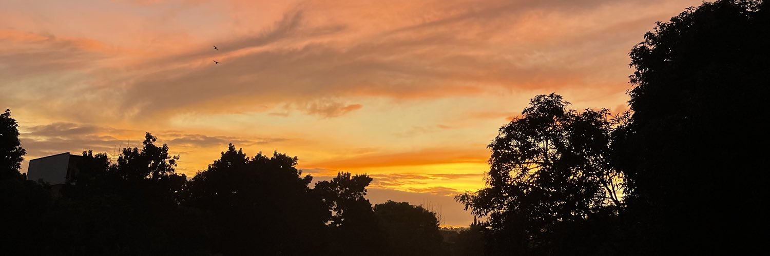 mikaconcha's profile banner image