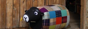 SedberghSheep's profile banner image