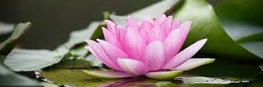 indira_ghose's profile banner image