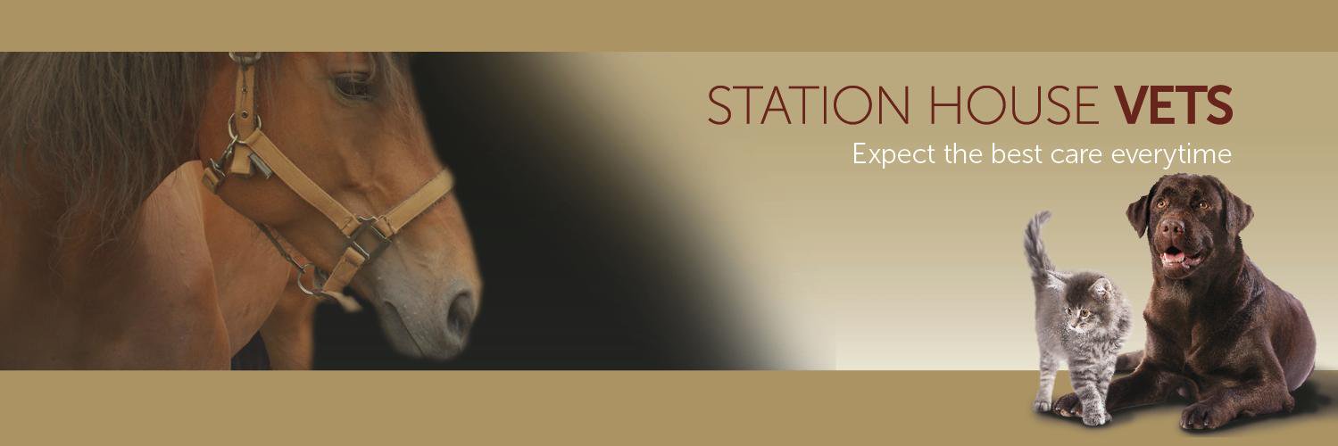StationHouseVet's profile banner image
