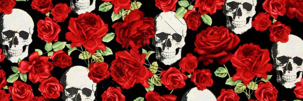 TiffTorossian's profile banner image