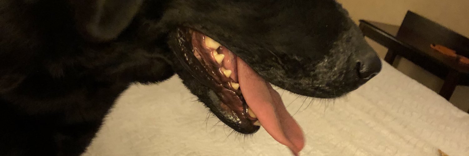 Craig H. Evans banner