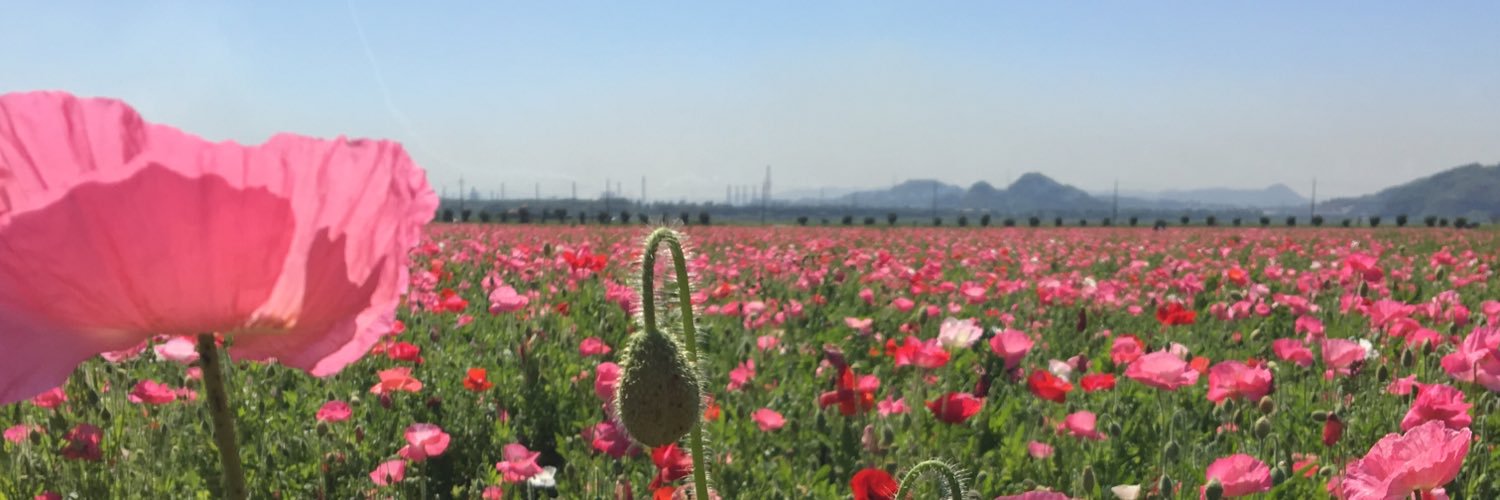masu_oomoto's profile banner image