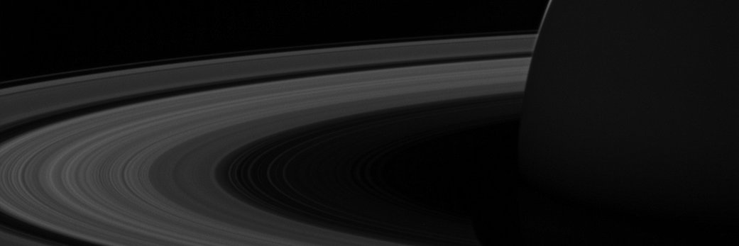 elopwithabook's profile banner image