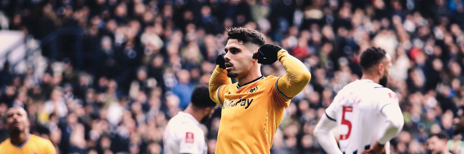 Wolvesjpn's profile banner image