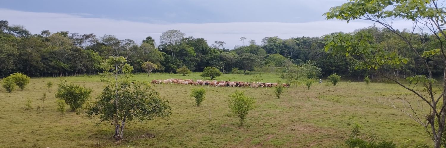 Hacienda El Pajuil - Ganadería Regenerativa banner