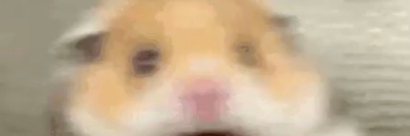 notadd_'s profile banner image
